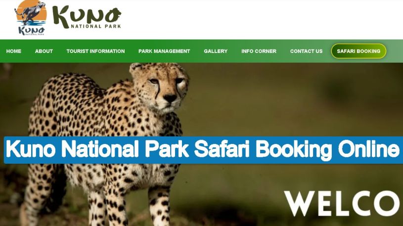 Kuno National Park Safari Booking Online, Ticket Price, Timings, Contact Number