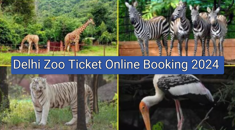 Delhi Zoo Ticket Online Booking